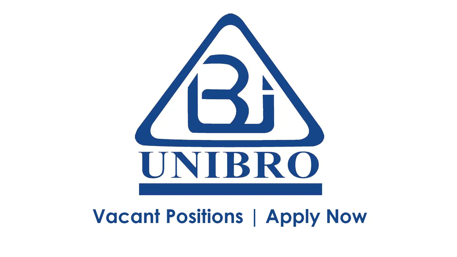 Unibro Pvt Ltd Jobs Import / Export Executive