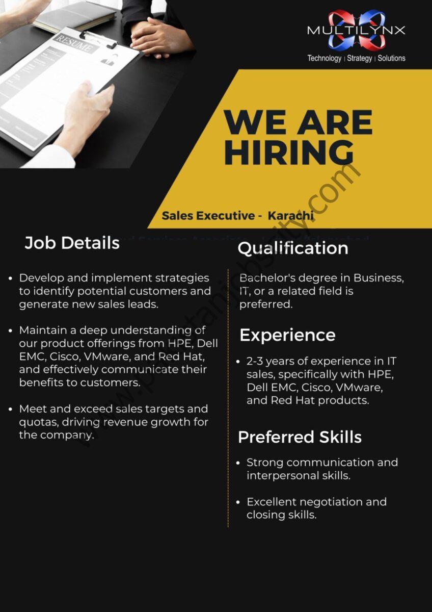 Multilynx Pvt Ltd Jobs July 2024 1