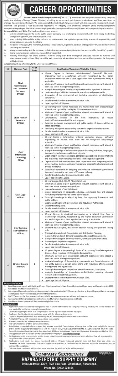 Hazara Electric Supply Co Ltd HEZECO Jobs December 2024 1