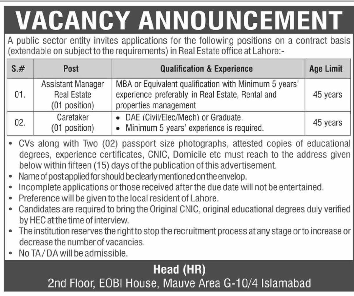 Public Sector Jobs 20 December 2024 Dawn 1