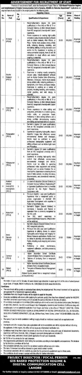 Directorate General of Fisheries Punjab Jobs February 2025 1